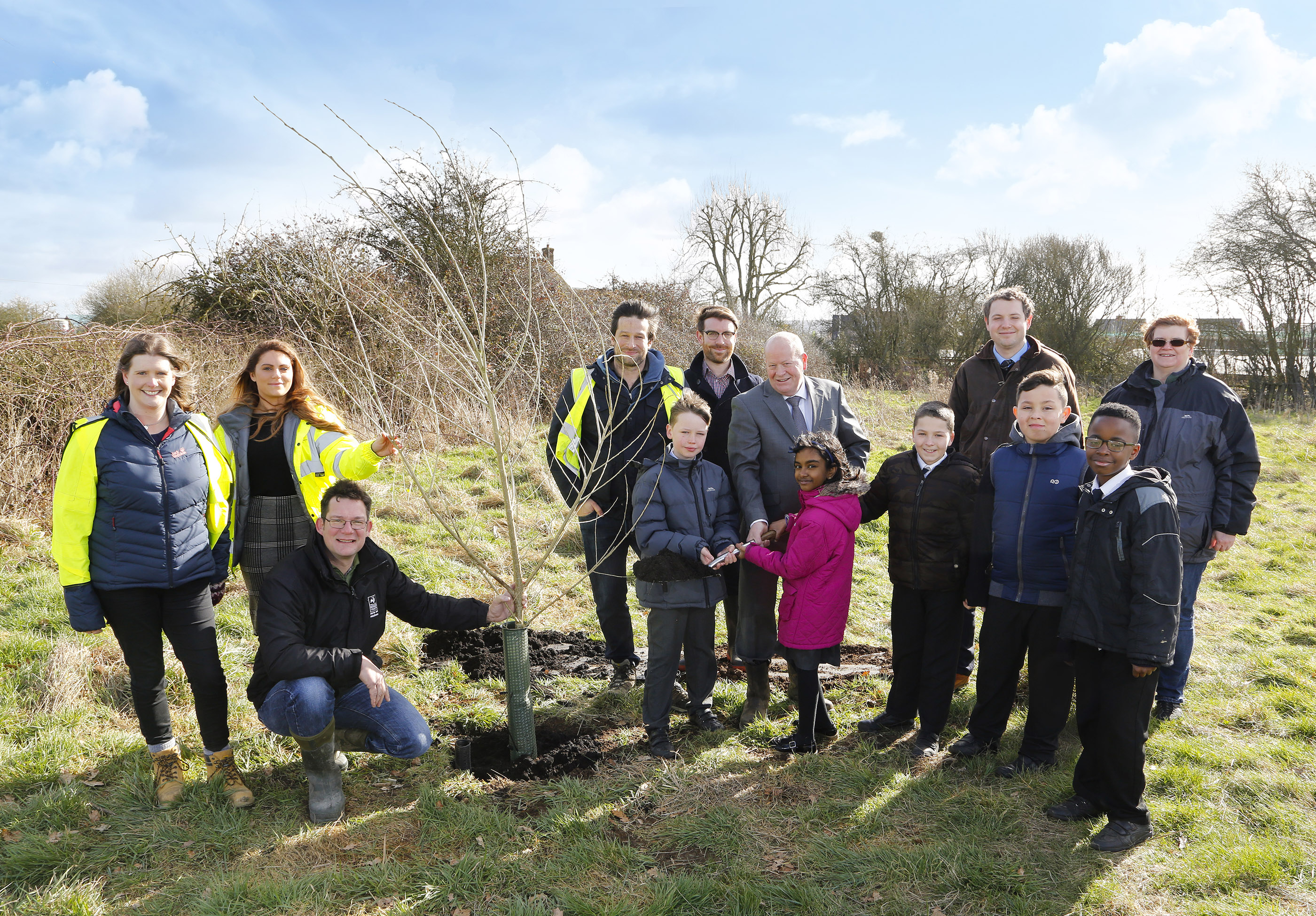 Black Poplar Tree Conservation