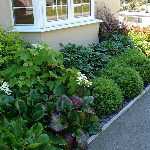 Queens Hill Landscape Design