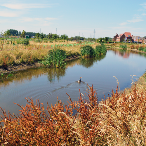 Alylesbury Natural Garden City