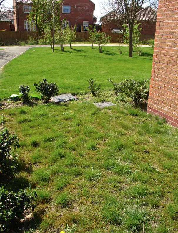 Wet back gardens